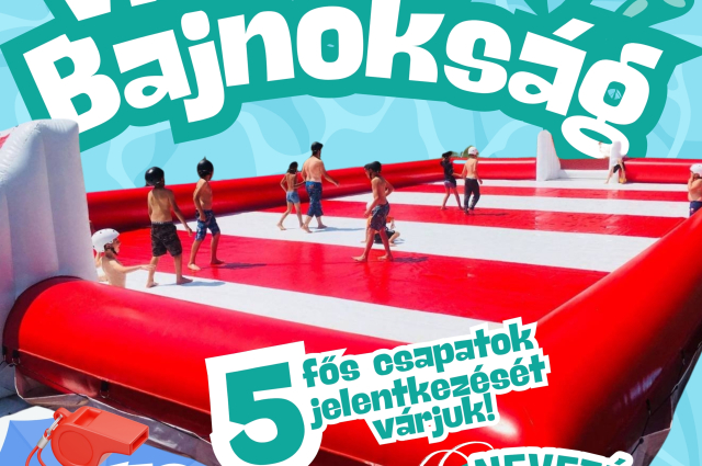 Vizifoci bajnokság